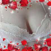 ヒメ日記 2026/04/11 14:10 投稿 三日月美伽 五十路マダムエクスプレス船橋店(カサブランカグループ)