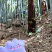 ヒメ日記 2026/04/15 13:00 投稿 三日月美伽 五十路マダムエクスプレス船橋店(カサブランカグループ)