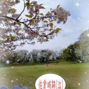 ヒメ日記 2026/04/18 13:00 投稿 三日月美伽 五十路マダムエクスプレス船橋店(カサブランカグループ)