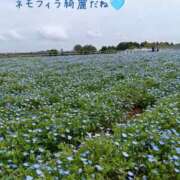 ヒメ日記 2026/04/22 14:00 投稿 三日月美伽 五十路マダムエクスプレス船橋店(カサブランカグループ)