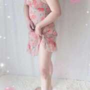 ヒメ日記 2026/04/23 12:08 投稿 三日月美伽 五十路マダムエクスプレス船橋店(カサブランカグループ)