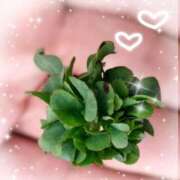 ヒメ日記 2026/04/28 18:02 投稿 三日月美伽 五十路マダムエクスプレス船橋店(カサブランカグループ)