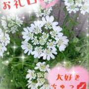 ヒメ日記 2026/05/12 20:54 投稿 三日月美伽 五十路マダムエクスプレス船橋店(カサブランカグループ)