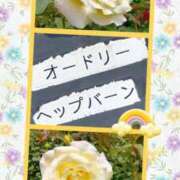 ヒメ日記 2026/06/04 15:38 投稿 三日月美伽 五十路マダムエクスプレス船橋店(カサブランカグループ)