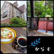 ヒメ日記 2026/06/08 14:38 投稿 三日月美伽 五十路マダムエクスプレス船橋店(カサブランカグループ)