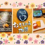 ヒメ日記 2026/06/29 12:34 投稿 三日月美伽 五十路マダムエクスプレス船橋店(カサブランカグループ)