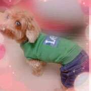 ヒメ日記 2025/08/20 08:33 投稿 るか 府中ダービー