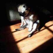 るか 暇潰しのお題५✍🏻 府中ダービー