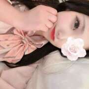 ヒメ日記 2025/04/02 00:28 投稿 ゆゆ それいけ！ヤリスギ学園～舐めたくてグループ横浜校～