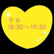 ヒメ日記 2024/03/04 11:59 投稿 みこ 愛知豊田みよしちゃんこ