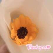 ヒメ日記 2025/07/04 12:38 投稿 らら♪ プリティーガール