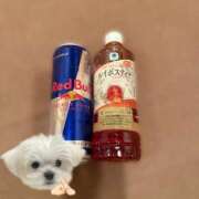 ヒメ日記 2025/09/13 12:45 投稿 らら♪ プリティーガール