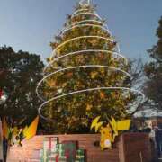 ヒメ日記 2025/12/19 00:25 投稿 らら♪ プリティーガール