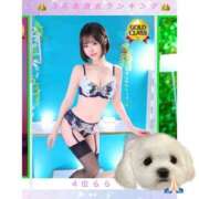 ヒメ日記 2026/04/01 14:35 投稿 らら♪ プリティーガール