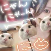 ヒメ日記 2025/02/23 17:48 投稿 にこ 折り紙 ORIGAMI