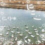 ヒメ日記 2026/01/30 17:03 投稿 にこ 折り紙 ORIGAMI