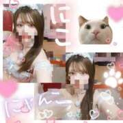 にこ 🎀にゃんずの日🎀 折り紙 ORIGAMI