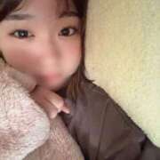 ヒメ日記 2025/10/11 07:00 投稿 なる 黒い金魚（札幌）