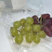 ヒメ日記 2025/10/25 23:22 投稿 なる 黒い金魚（札幌）