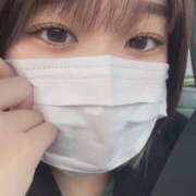 ヒメ日記 2025/11/08 15:04 投稿 なる 黒い金魚（札幌）