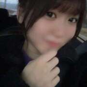 ヒメ日記 2025/11/26 07:21 投稿 なる 黒い金魚（札幌）