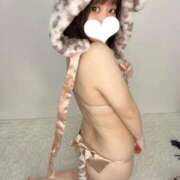 ヒメ日記 2026/02/22 10:27 投稿 なる 黒い金魚（札幌）