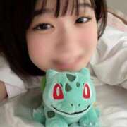 ヒメ日記 2026/04/14 12:23 投稿 なる 黒い金魚（札幌）