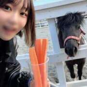 ヒメ日記 2026/04/26 01:20 投稿 なる 黒い金魚（札幌）