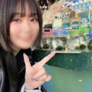 ヒメ日記 2026/05/22 13:45 投稿 なる 黒い金魚（札幌）