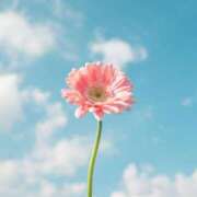 ヒメ日記 2025/04/12 23:06 投稿 新人・璃々愛(りりあ) グランドオペラ福岡