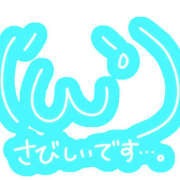 ヒメ日記 2024/12/24 20:13 投稿 かほ Hip's千葉駅前店