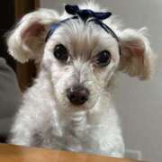 ヒメ日記 2024/12/31 02:13 投稿 かほ Hip's千葉駅前店