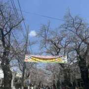 ヒメ日記 2025/03/30 12:44 投稿 かほ Hip's千葉駅前店