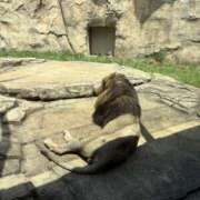 ヒメ日記 2025/05/08 12:07 投稿 かほ Hip's千葉駅前店