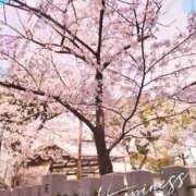 ヒメ日記 2025/04/14 10:55 投稿 あつこ 完熟ばなな神戸・三宮店