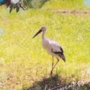 ヒメ日記 2025/05/21 16:47 投稿 あつこ 完熟ばなな神戸・三宮店