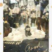 ヒメ日記 2025/05/25 09:50 投稿 あつこ 完熟ばなな神戸・三宮店