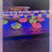 ヒメ日記 2025/11/29 14:17 投稿 あつこ 完熟ばなな神戸・三宮店