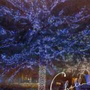 ヒメ日記 2025/12/05 16:43 投稿 あつこ 完熟ばなな神戸・三宮店