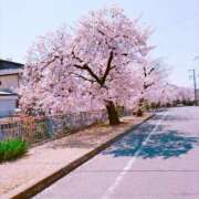 ヒメ日記 2026/04/06 10:11 投稿 あつこ 完熟ばなな神戸・三宮店