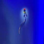 ヒメ日記 2025/09/30 13:01 投稿 ひなの ギン妻パラダイス 和歌山店