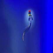 ヒメ日記 2025/11/26 14:24 投稿 ひなの ギン妻パラダイス 和歌山店