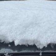 ヒメ日記 2026/02/08 16:53 投稿 ひなの ギン妻パラダイス 和歌山店