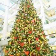 ヒメ日記 2024/12/09 21:52 投稿 香葉子(かよこ) 五十路エステハイブリッド(カサブランカグループ)