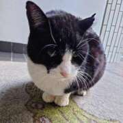 ヒメ日記 2024/12/29 09:58 投稿 香葉子(かよこ) 五十路エステハイブリッド(カサブランカグループ)