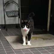 ヒメ日記 2025/01/27 12:36 投稿 香葉子(かよこ) 五十路エステハイブリッド(カサブランカグループ)