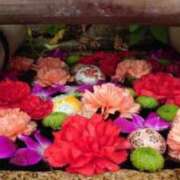 ヒメ日記 2025/08/17 10:06 投稿 香葉子(かよこ) 五十路エステハイブリッド(カサブランカグループ)