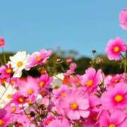 ヒメ日記 2025/09/16 23:54 投稿 香葉子(かよこ) 五十路エステハイブリッド(カサブランカグループ)