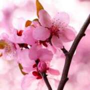 ヒメ日記 2026/03/14 23:42 投稿 香葉子(かよこ) 五十路エステハイブリッド(カサブランカグループ)