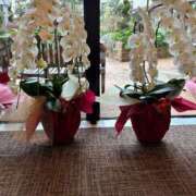 ヒメ日記 2025/02/13 15:04 投稿 ころね 熟女の風俗最終章 所沢店